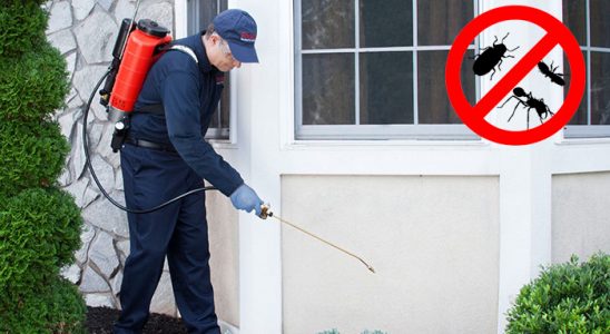 Akdağmadeni Akrep İlaçlama böcek ilaçlama ve haşere kontrolü — ilaclama-tr.com